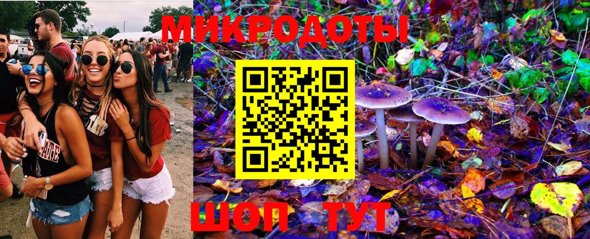 Галлюциногенные грибы Cubensis Дербент